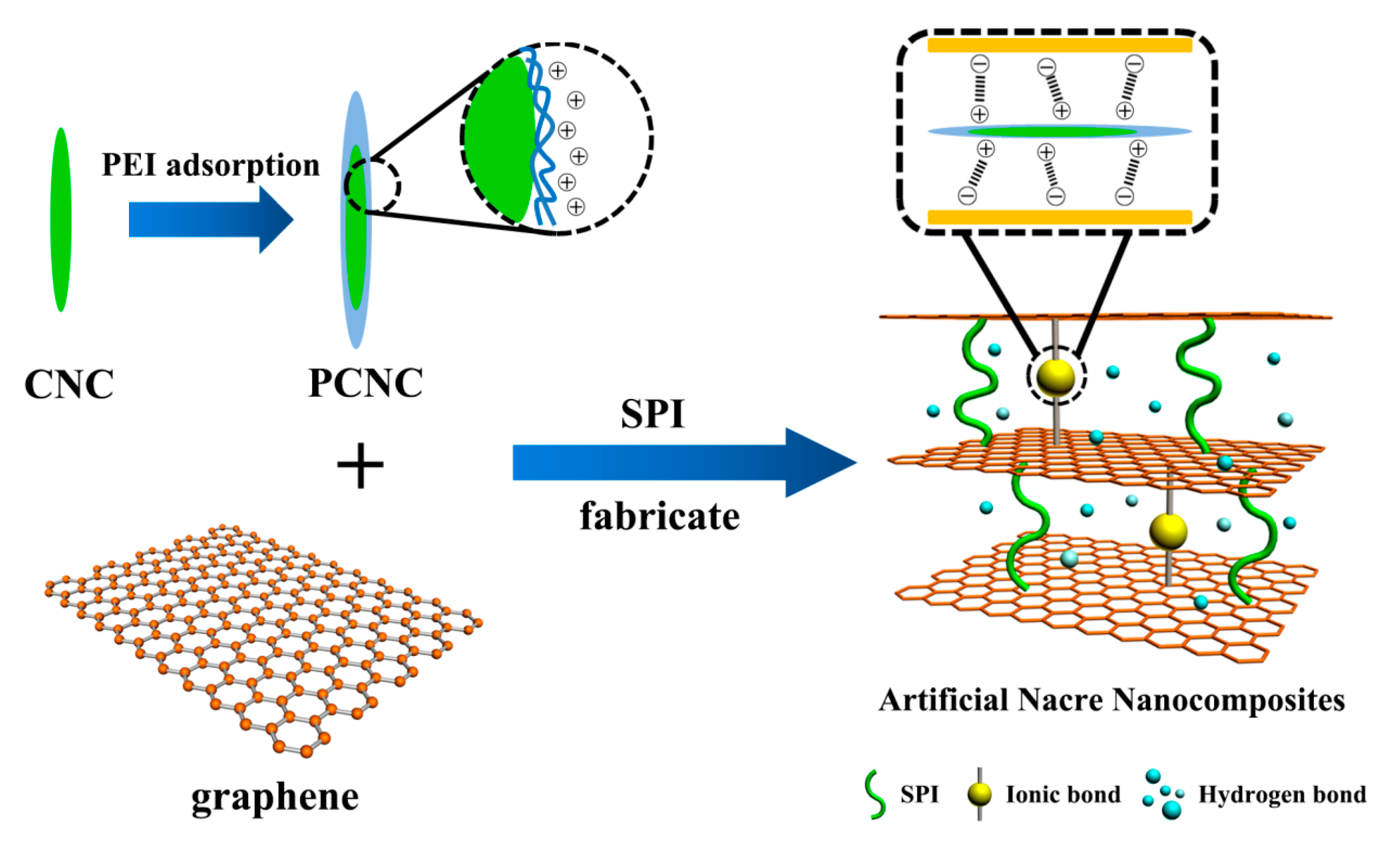 Polymers 09 00321 sch001 550