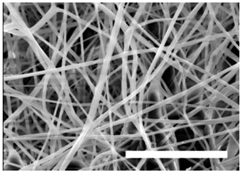 Polymers 09 00328 i002 Polymers 09 00328 i002