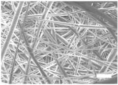 Polymers 09 00328 i005 Polymers 09 00328 i005