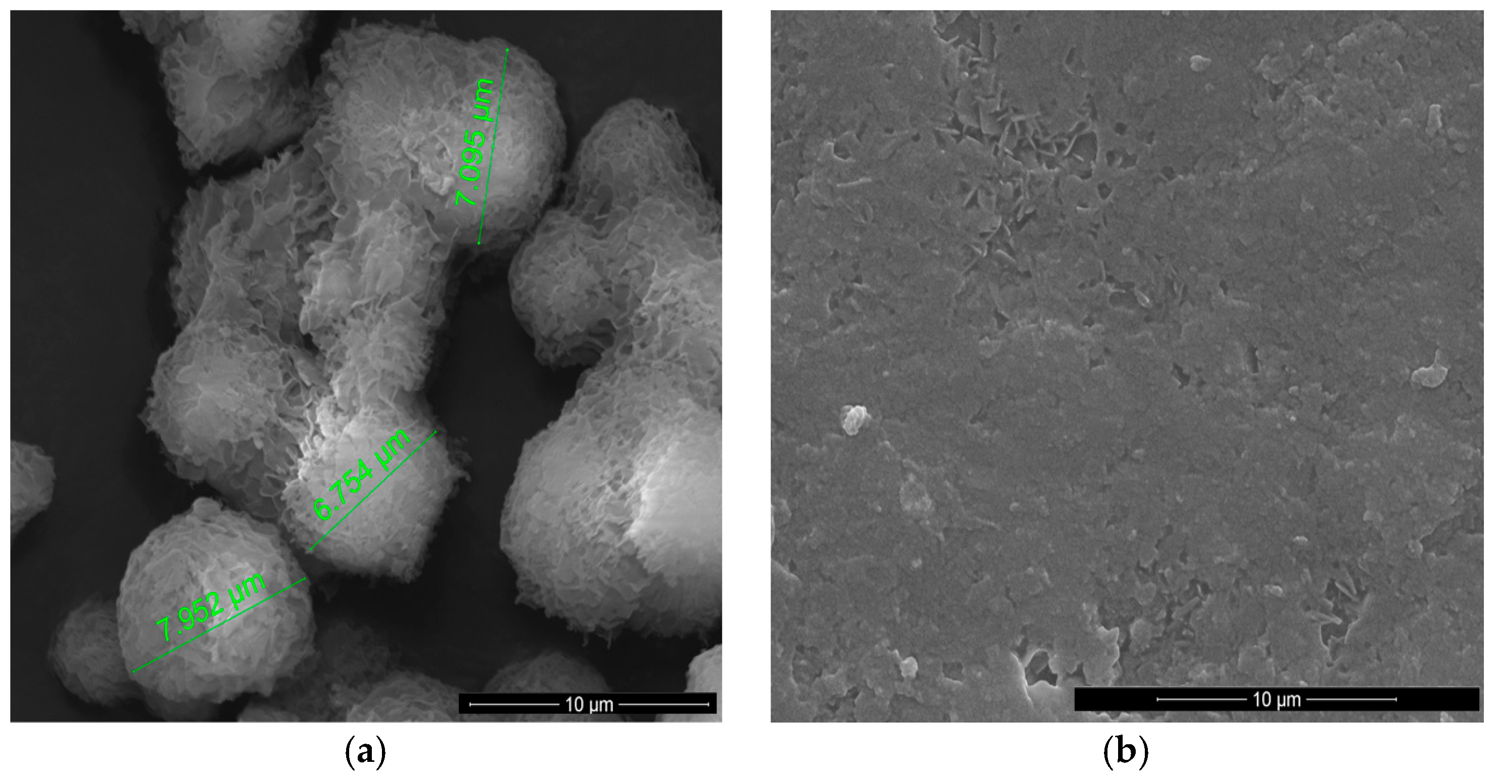 Polymers 09 00329 g004a