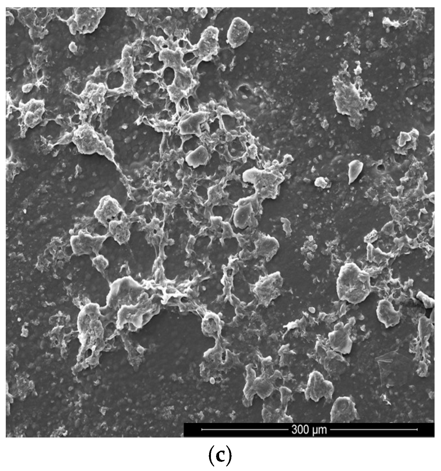 Polymers 09 00329 g004b