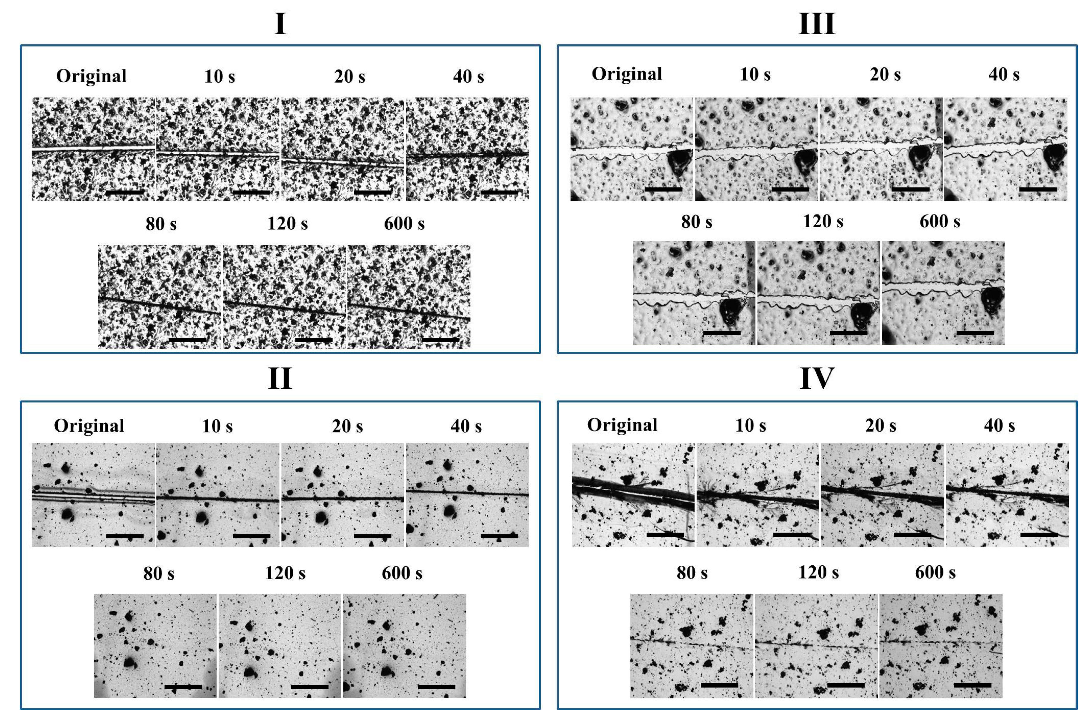 Polymers 09 00333 g006 550