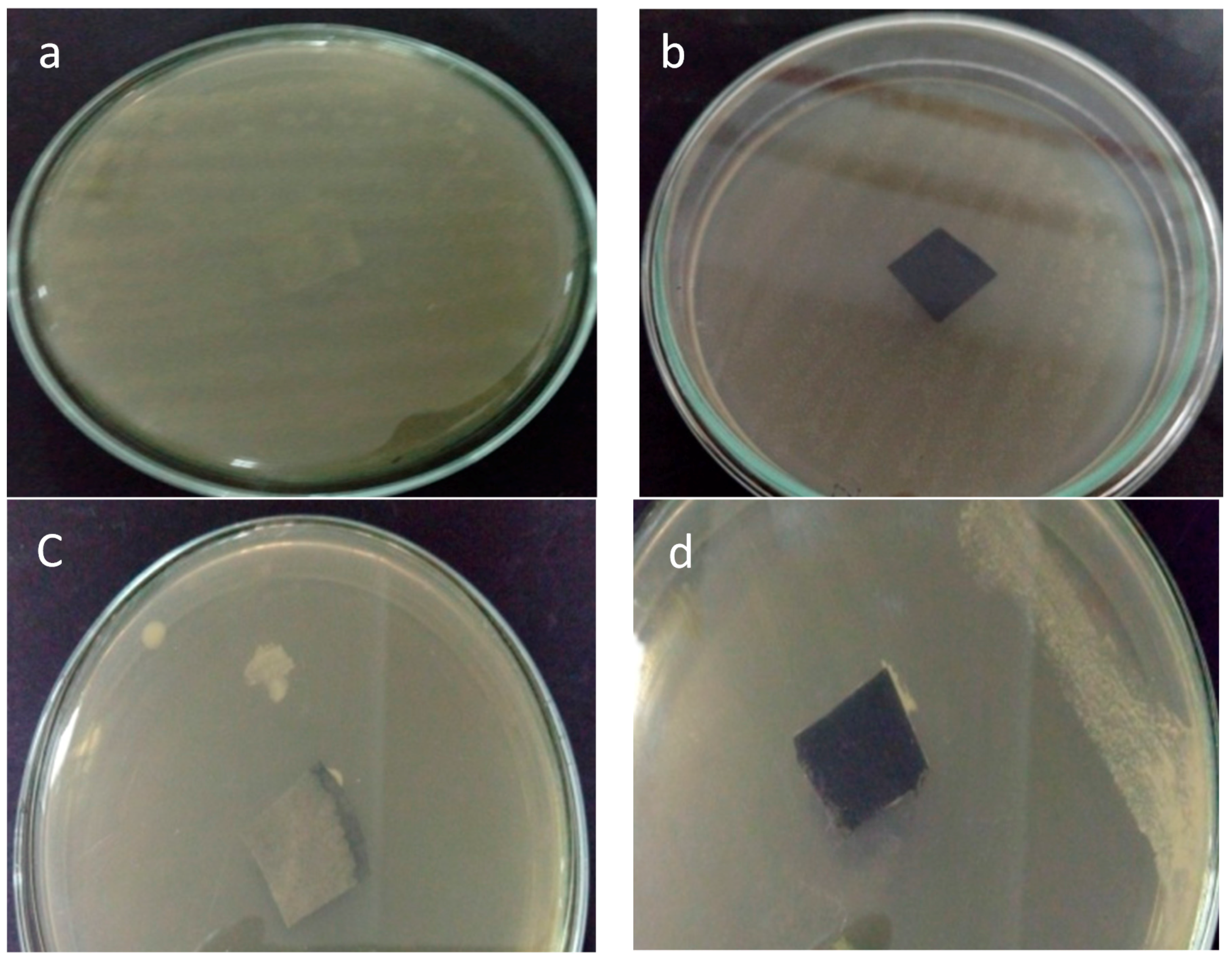 Polymers 09 00335 g009