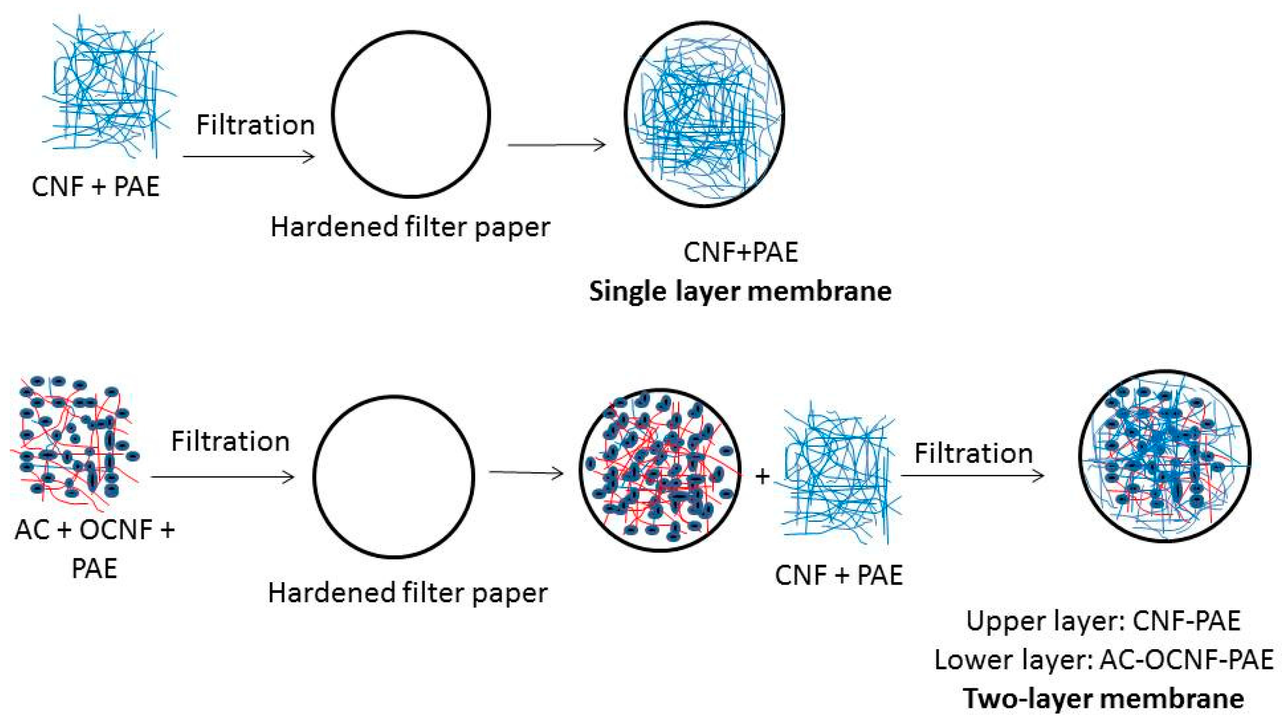 Filter Paper Filter Paper Putsch Group