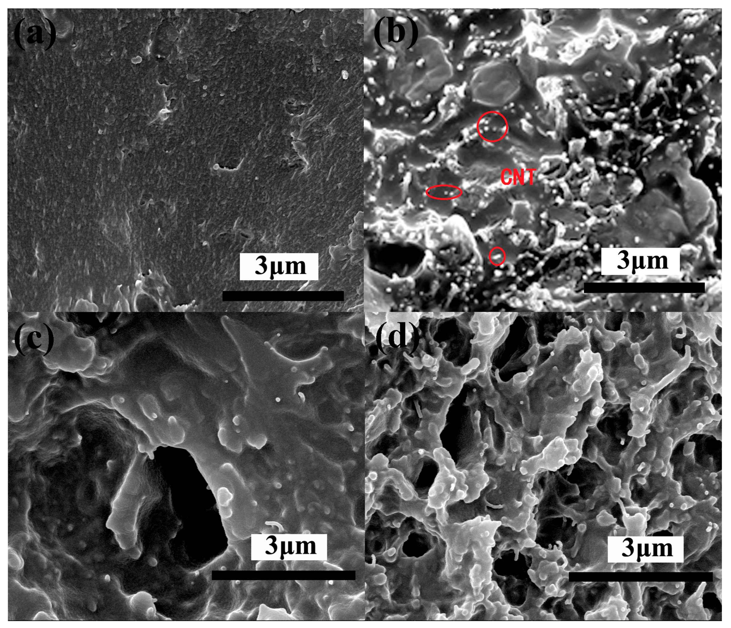 Polymers 09 00342 g006 550