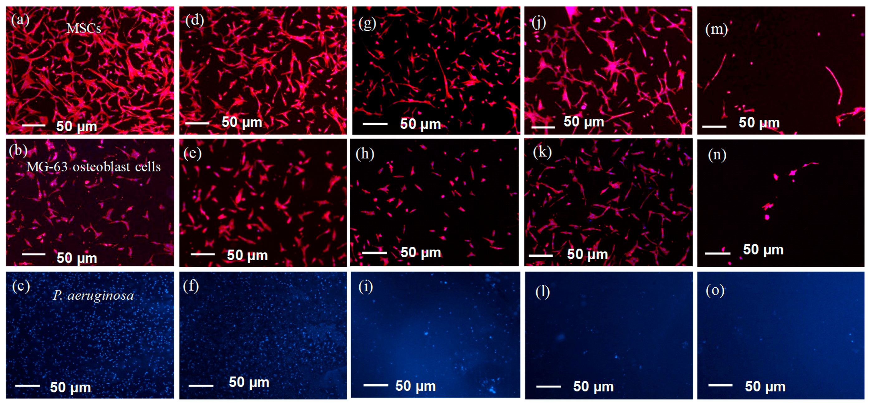 Polymers 09 00343 g007 550