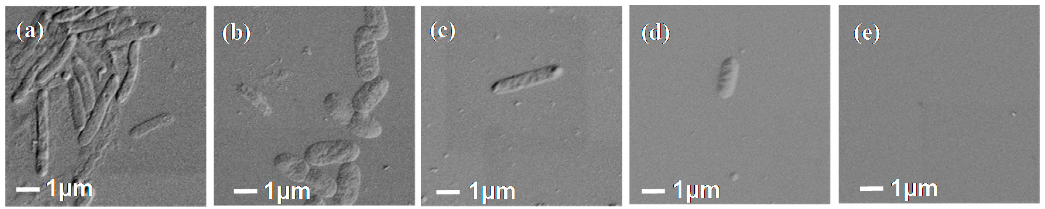 Polymers 09 00343 g008 550