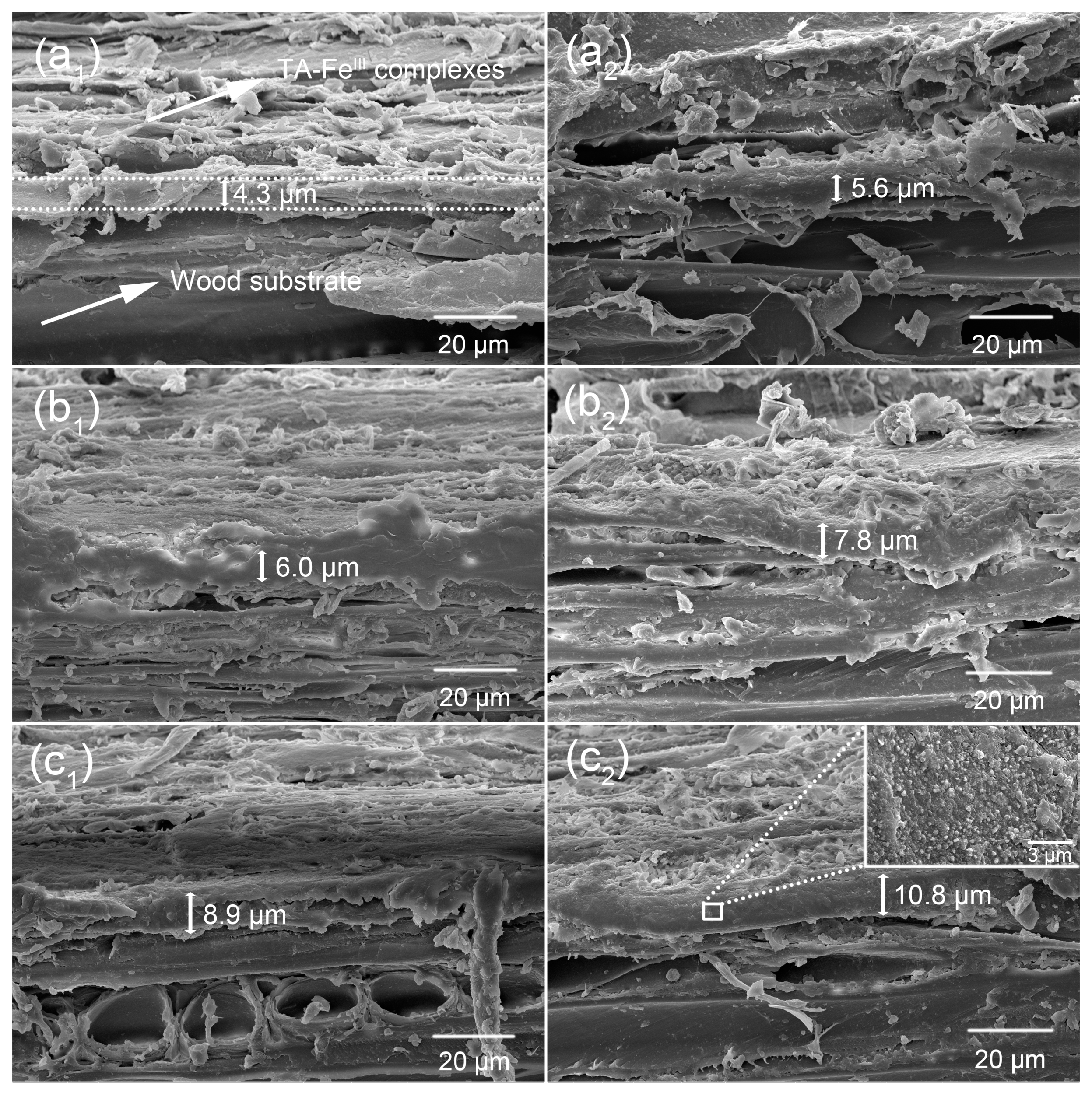 Polymers 09 00347 g003