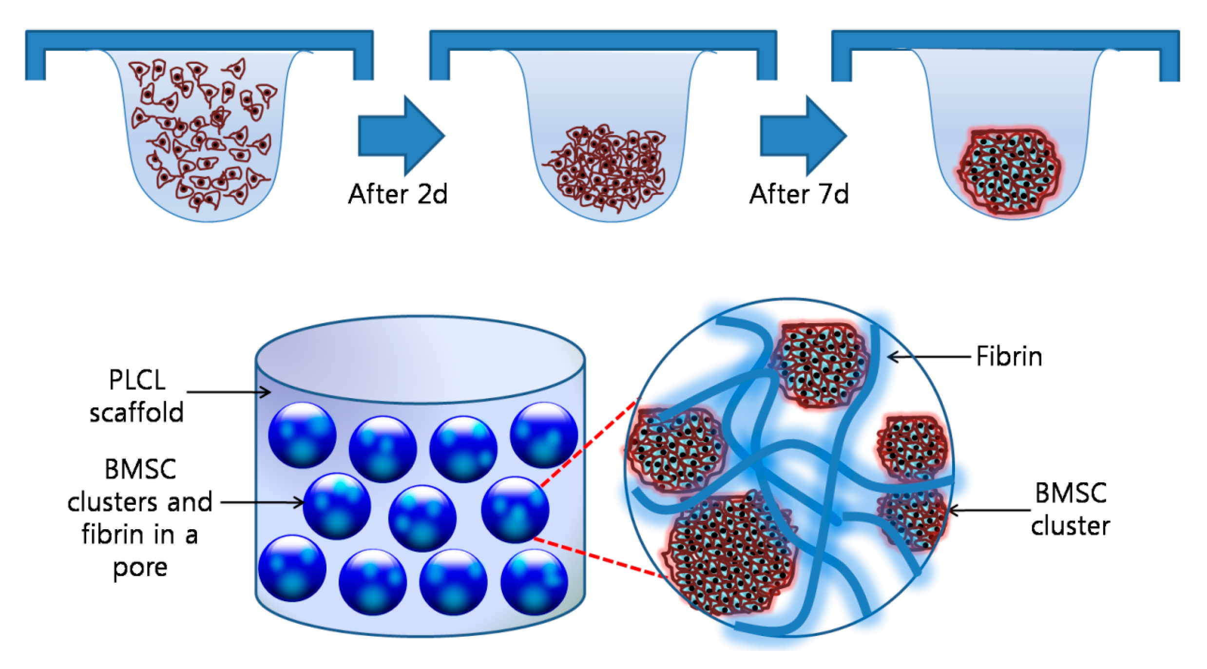 Polymers 09 00348 g001