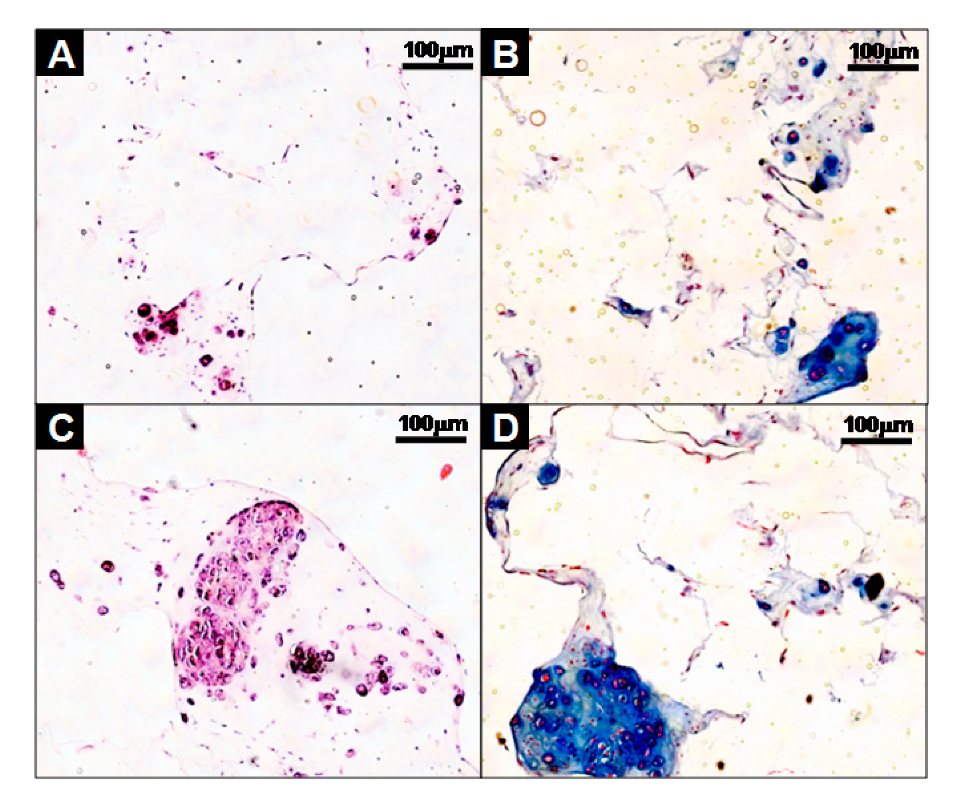 Polymers 09 00348 g005