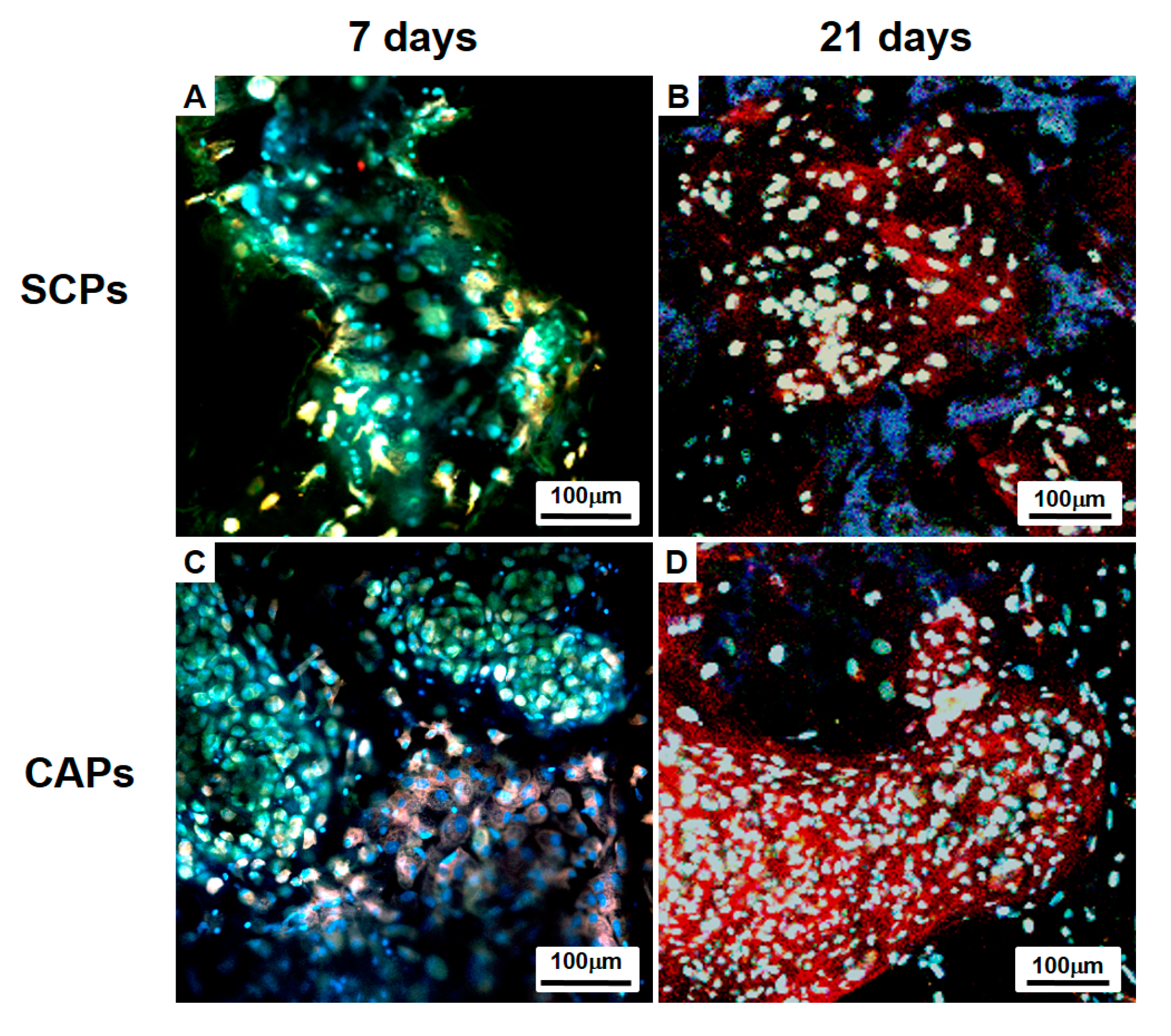 Polymers 09 00348 g006
