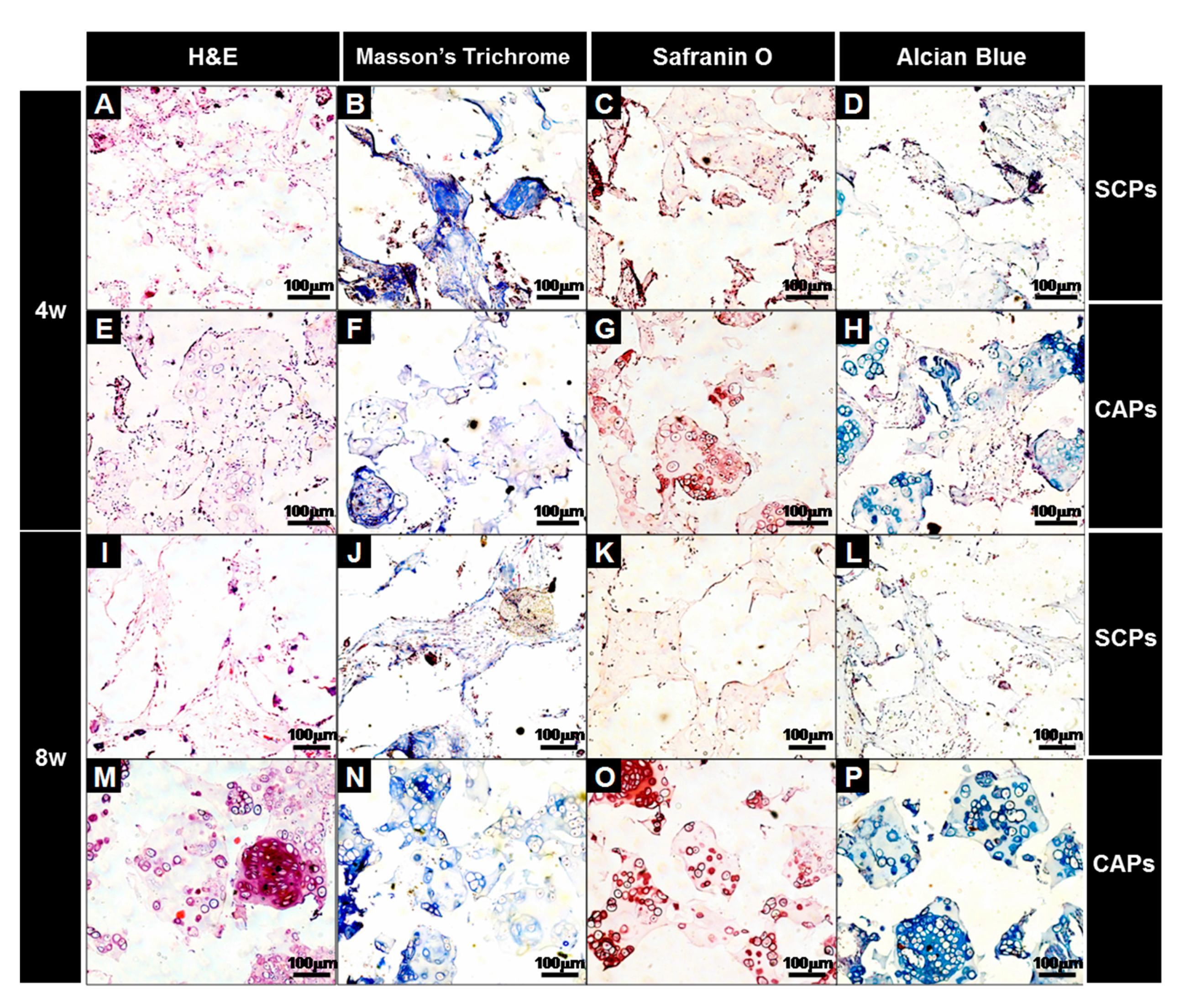 Polymers 09 00348 g009