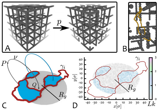 Topological Interactions in Ring Polymers
