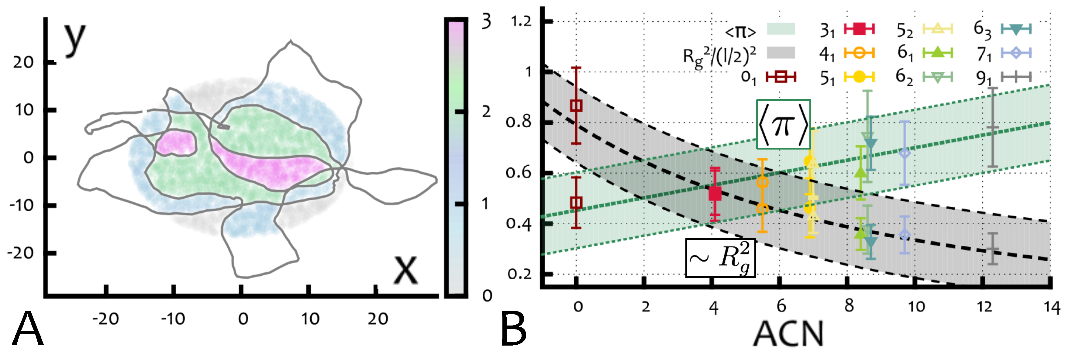 Topological Interactions in Ring Polymers