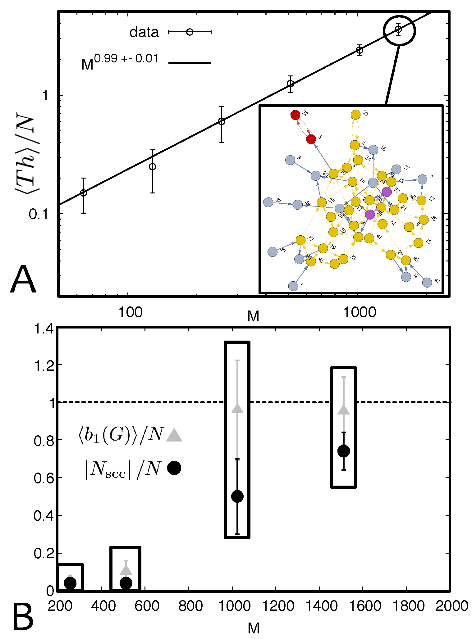 Topological Interactions in Ring Polymers