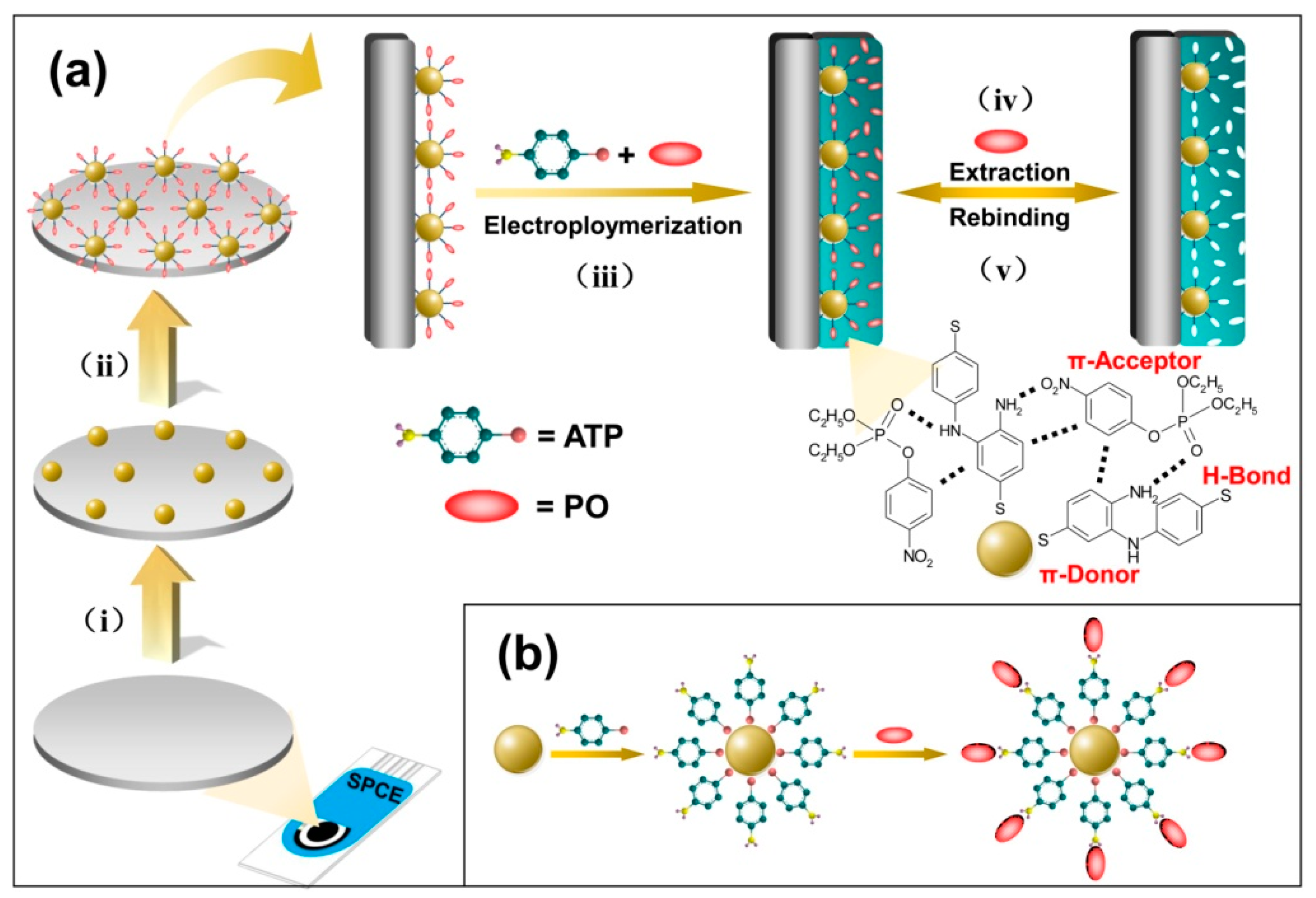 Polymers 09 00359 sch001