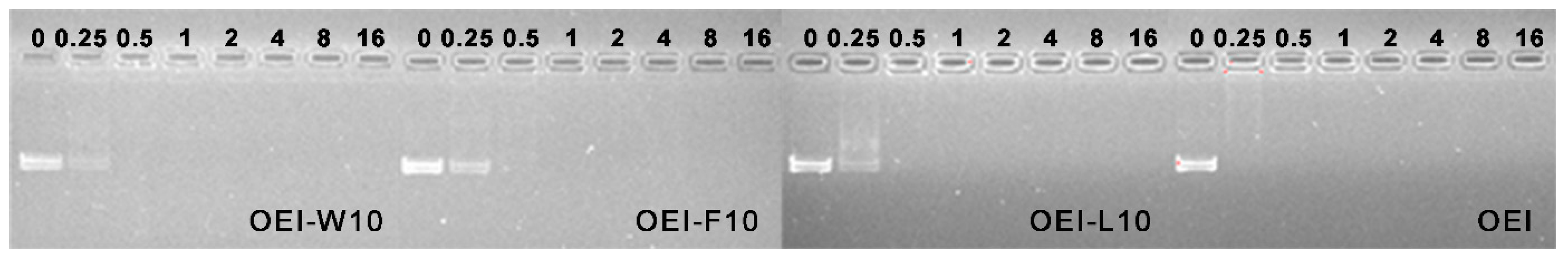 Polymers 09 00362 g001 550