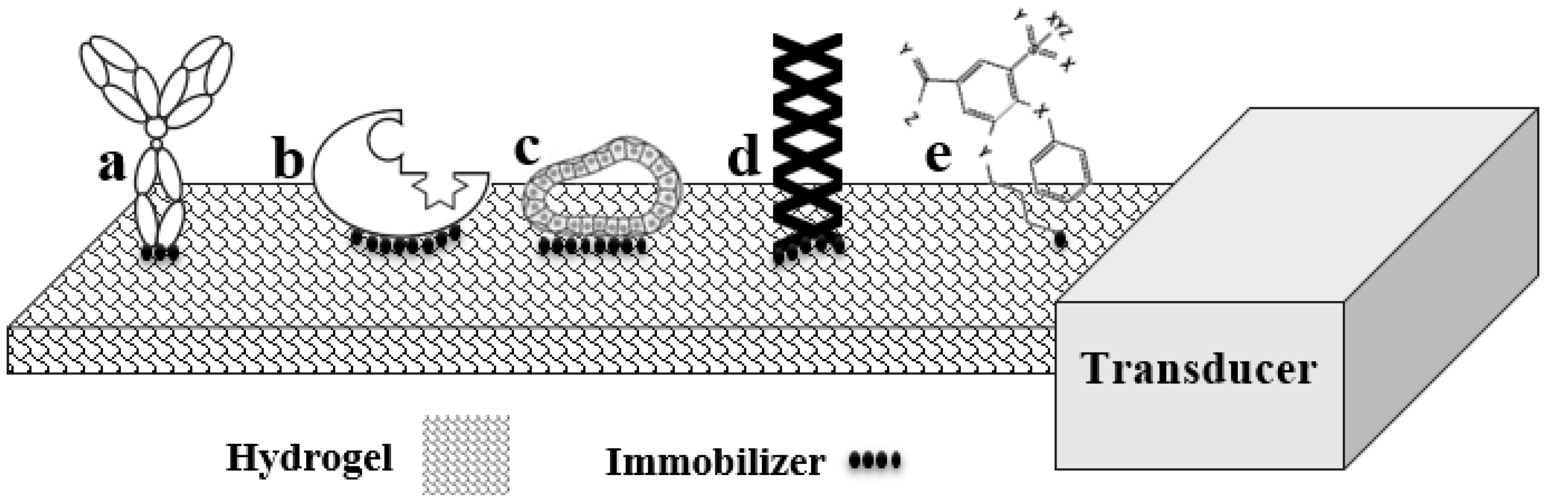 Polymers 09 00364 g002