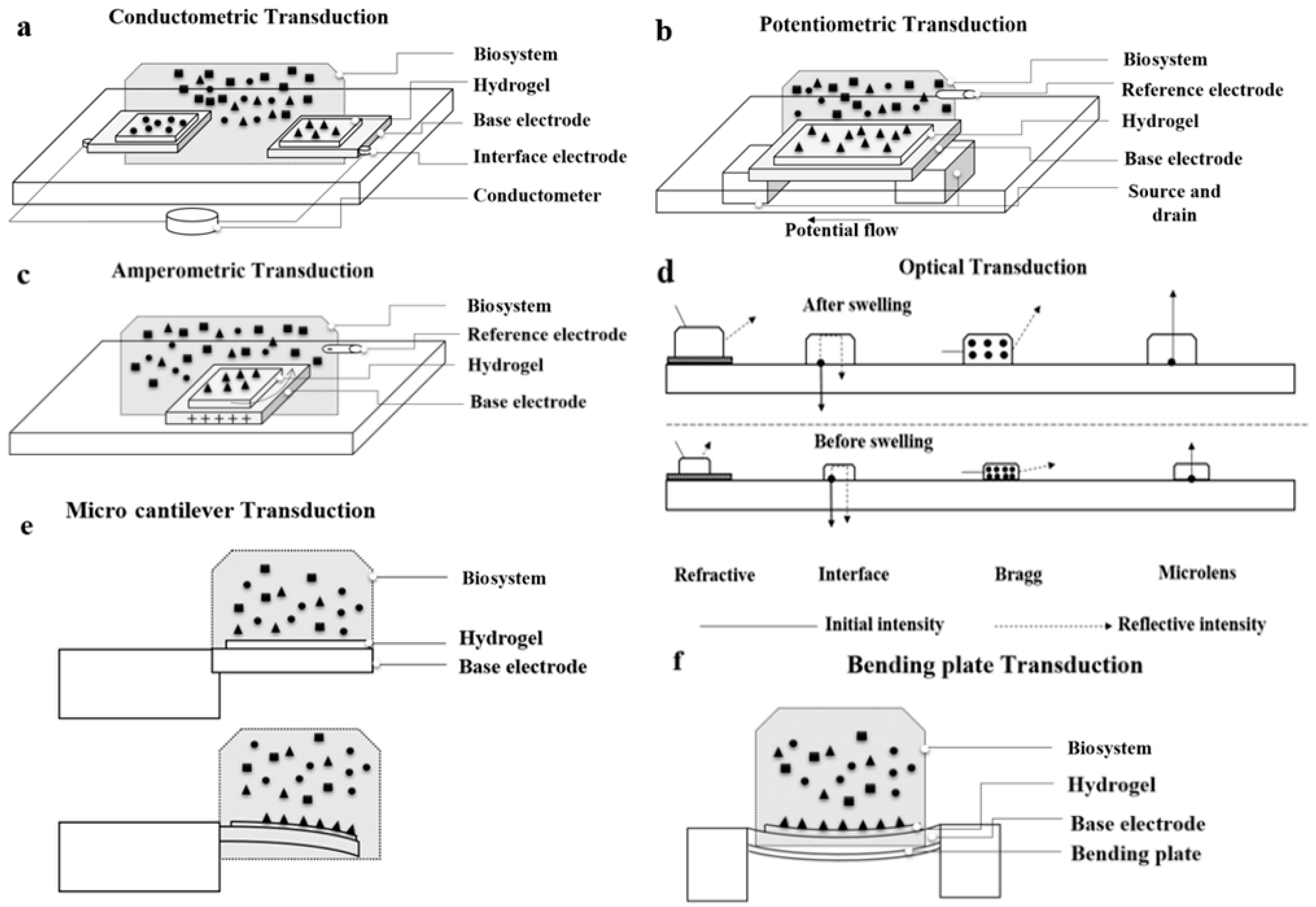 Polymers 09 00364 g004