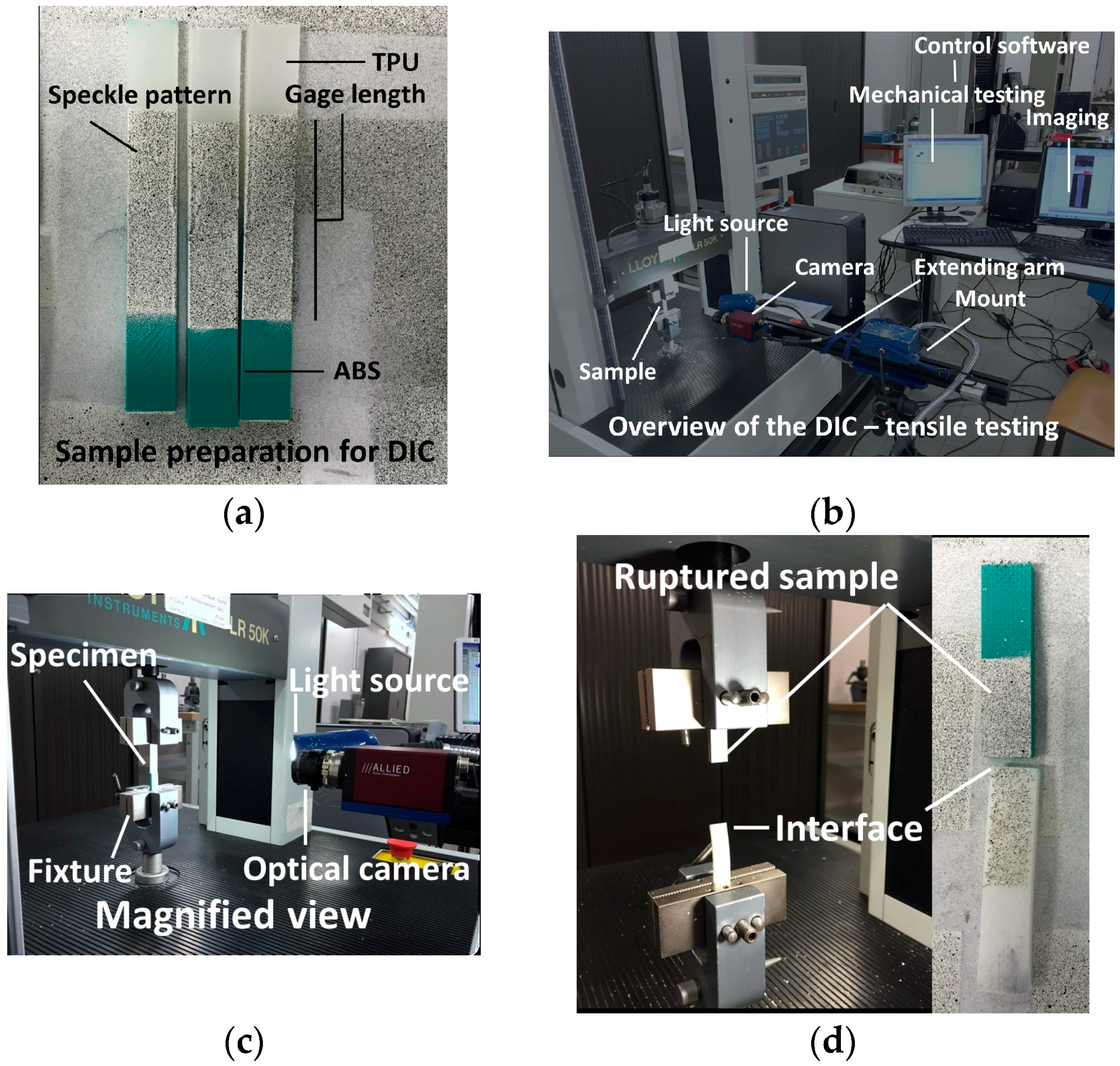 Polymers 09 00372 g004