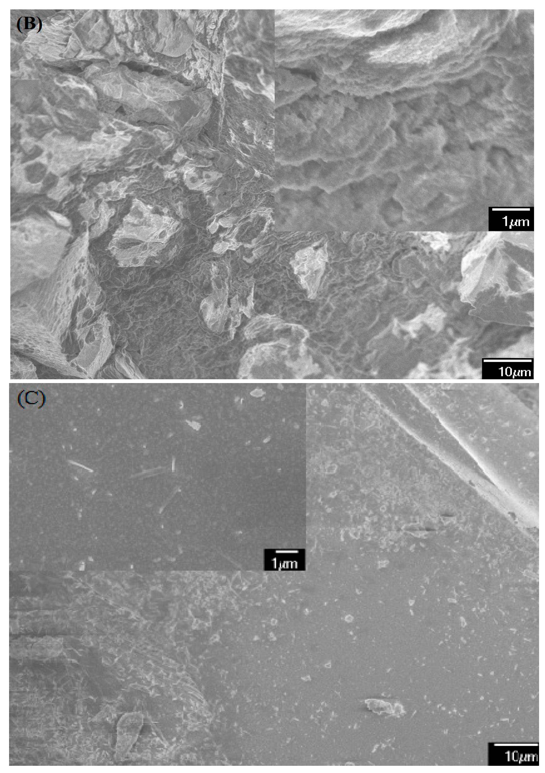 Polymers 09 00373 g001b