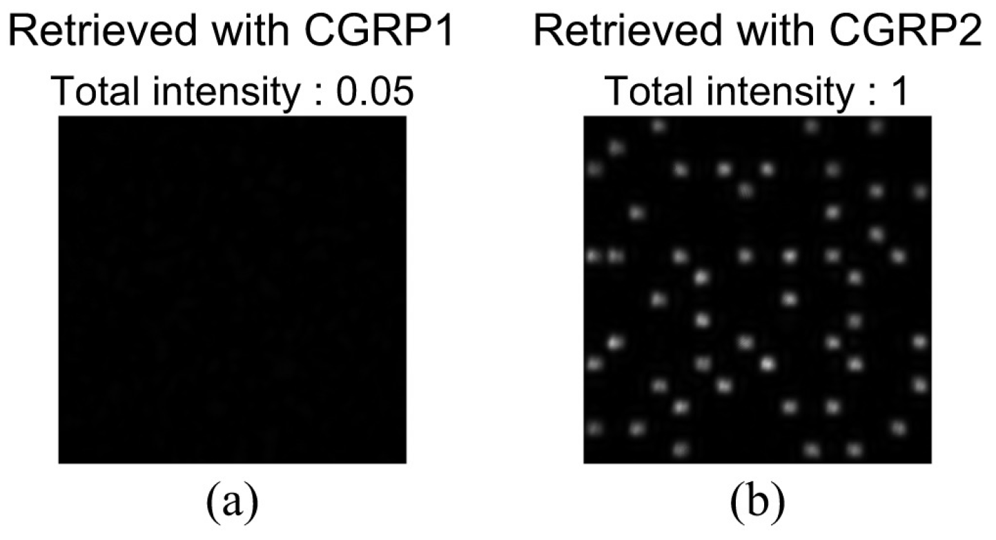 Polymers 09 00375 g011