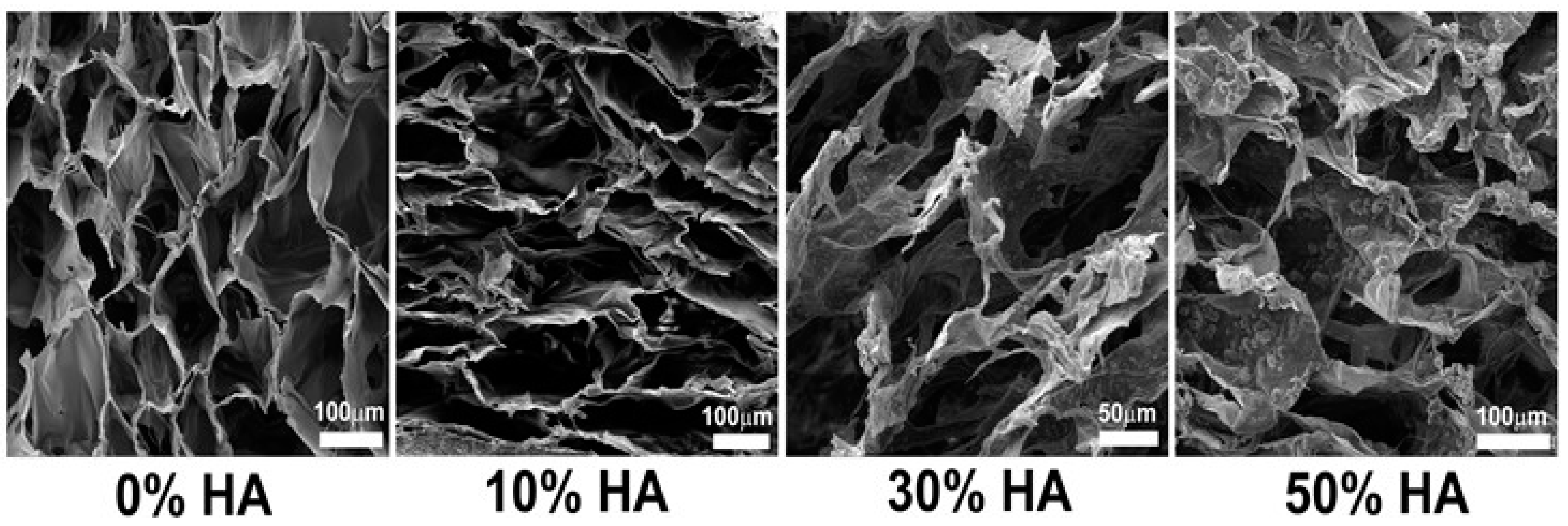 Polymers 09 00387 g001