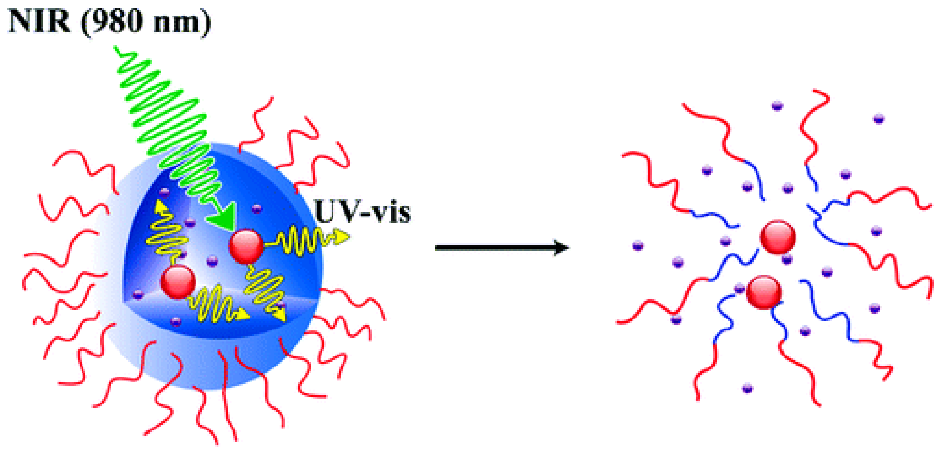 Polymers 09 00396 g010 550