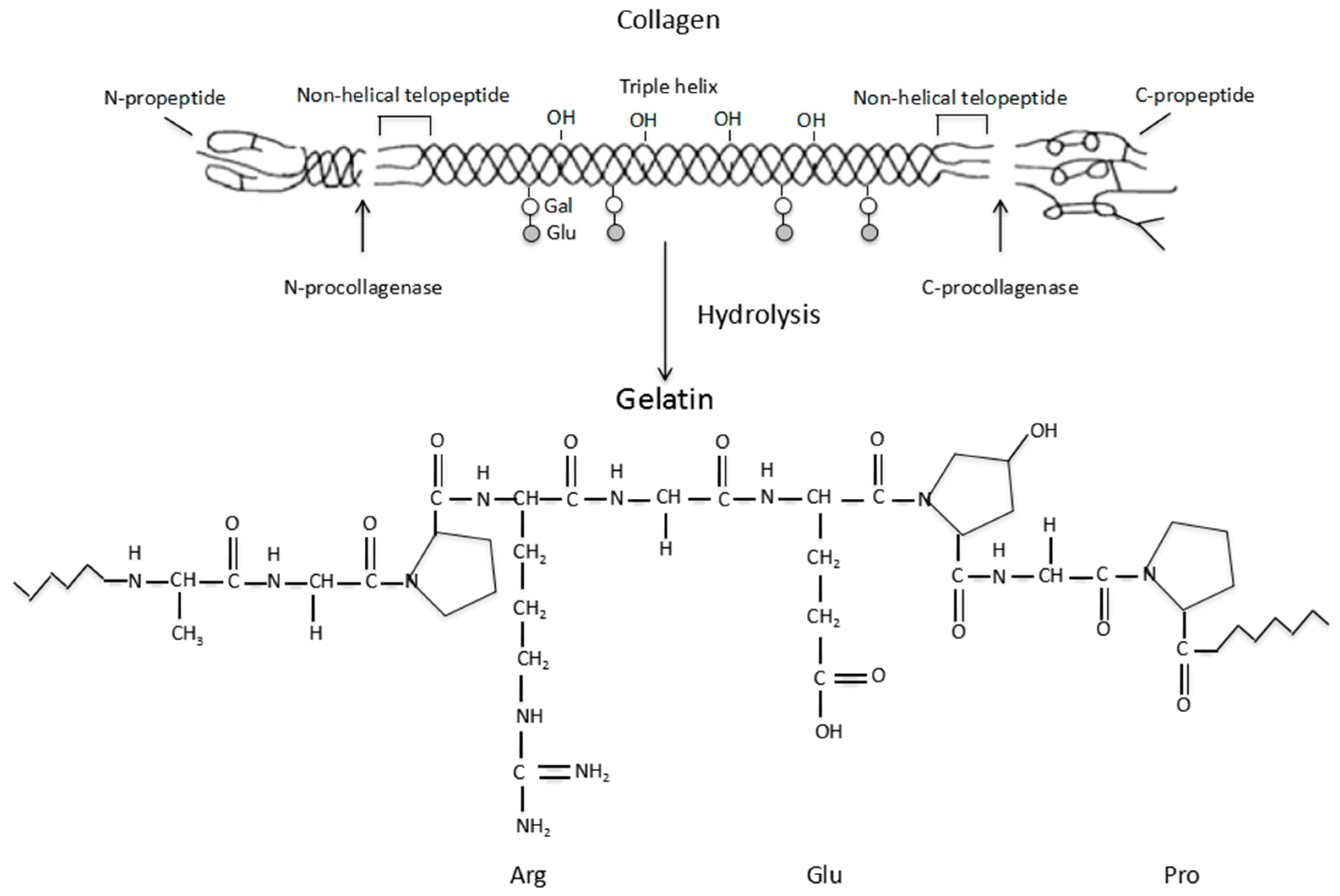 Коллаген из желатина в домашних. Структурная формула желатина. Коллаген структурная формула. Химическая формула желатина. Строение желатина.