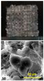Polymers 09 00401 i010