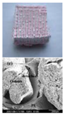 Polymers 09 00401 i011