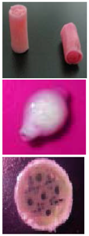 Polymers 09 00401 i012