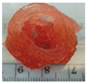 Polymers 09 00401 i015