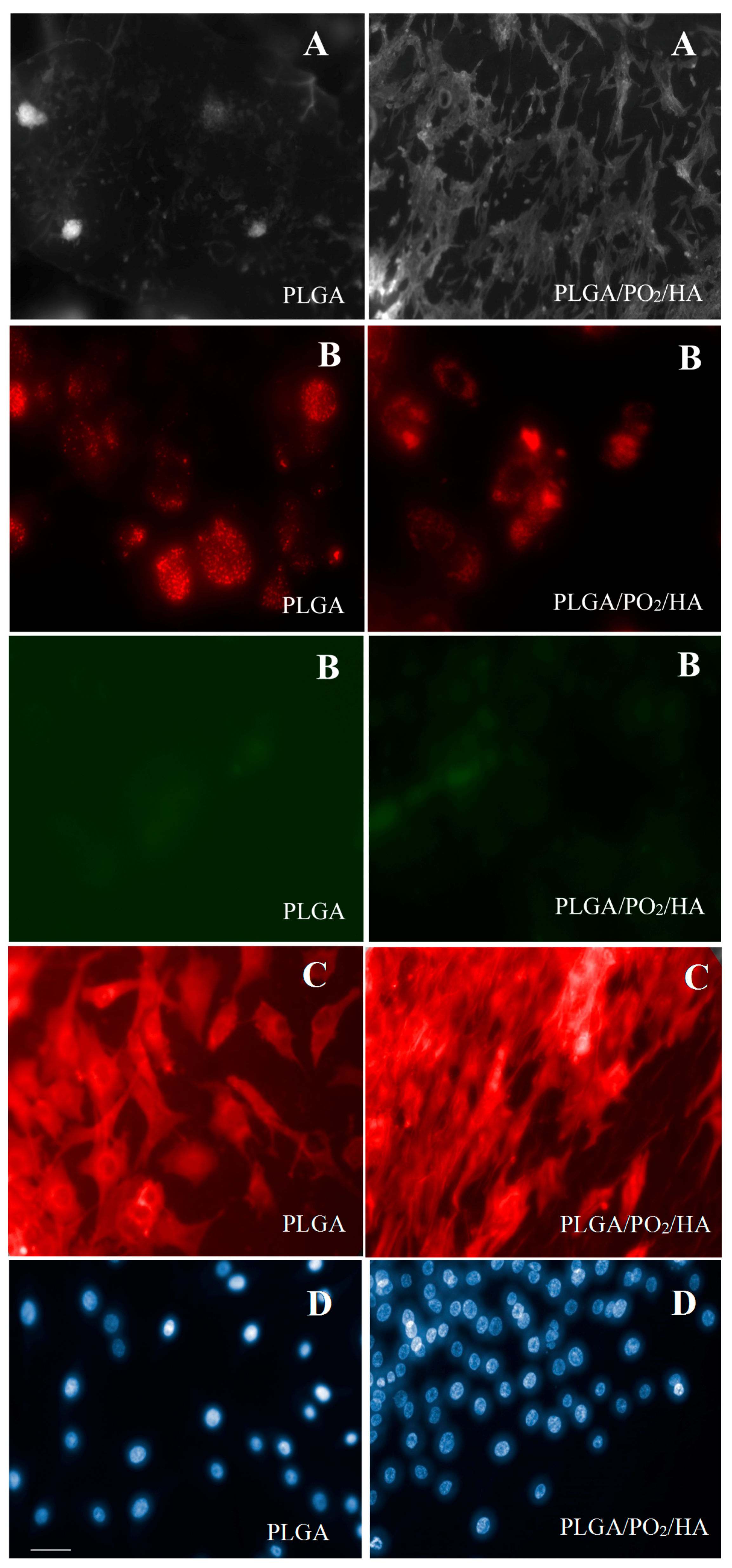 Polymers 09 00410 g008
