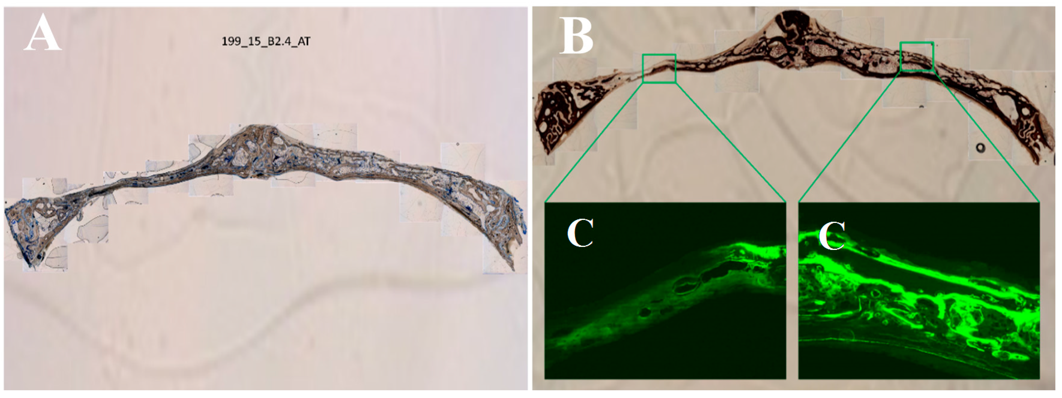 Polymers 09 00410 g009