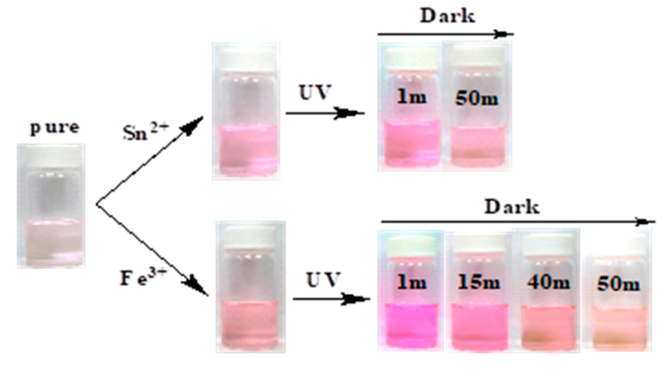 Polymers 09 00419 sch004a 550