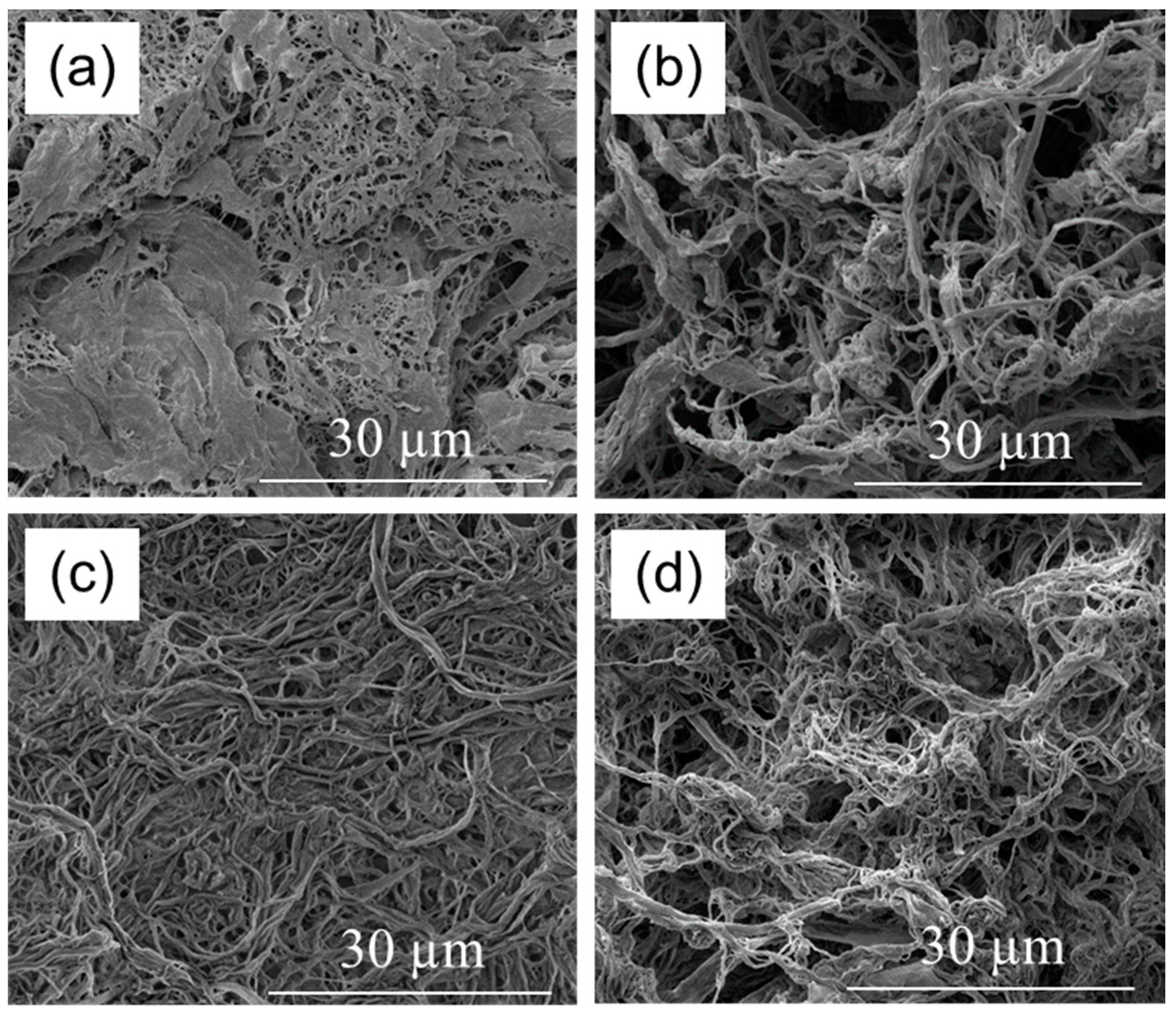 Polymers 09 00425 g004 550