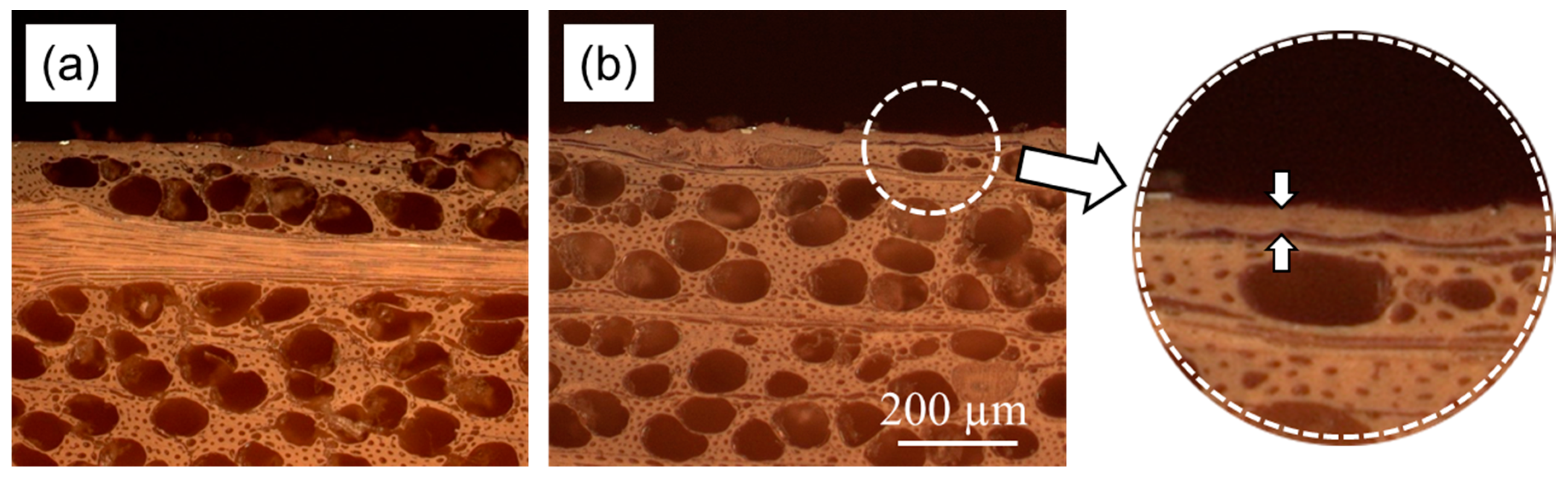Polymers 09 00425 g008 550