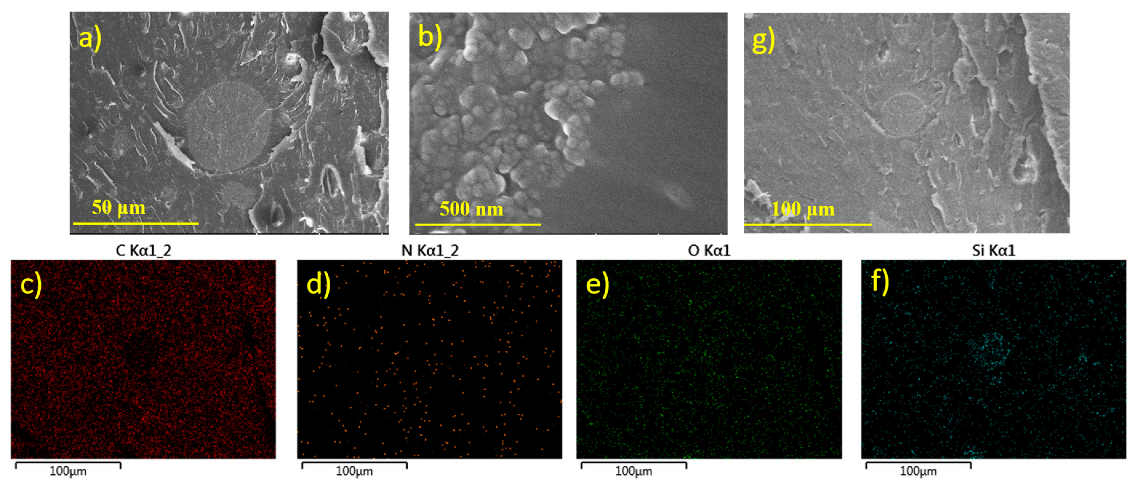 Polymers 09 00431 g003 550