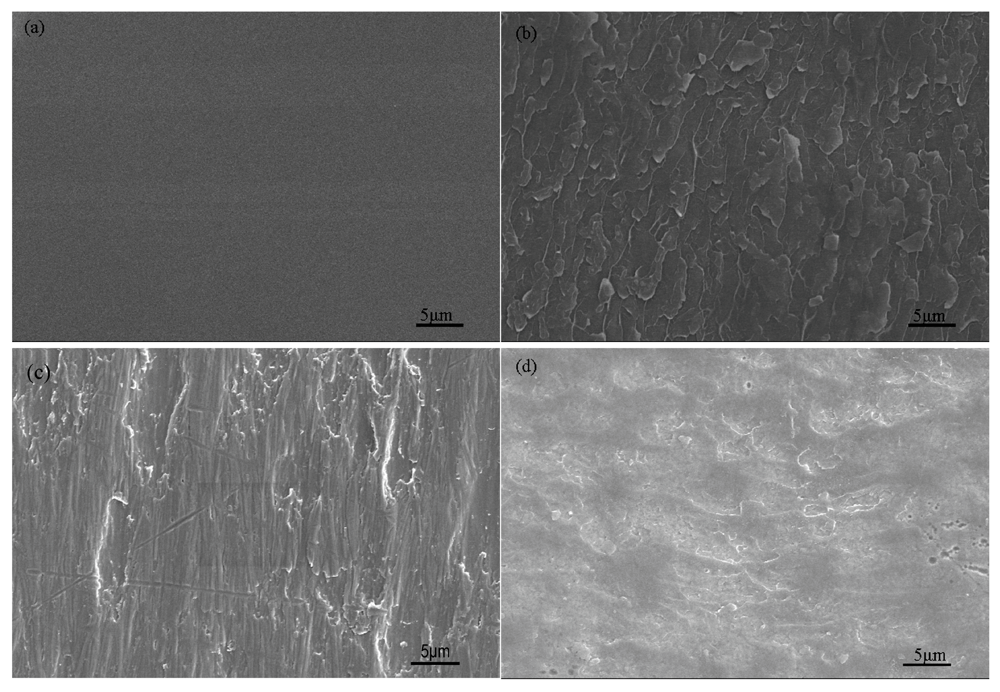 Polymers 09 00451 g013