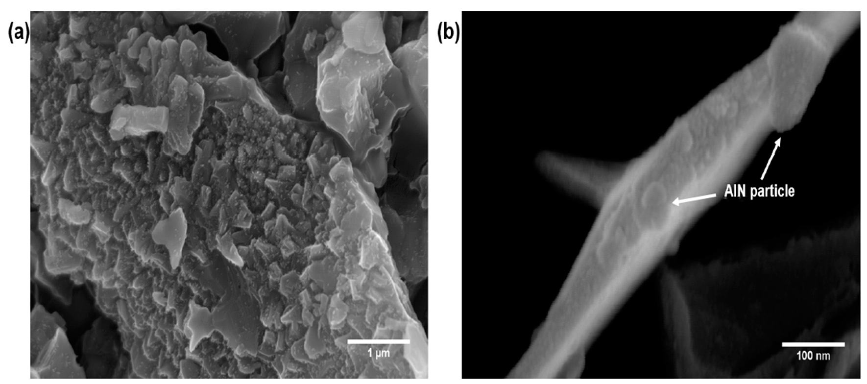 Polymers 09 00452 g005