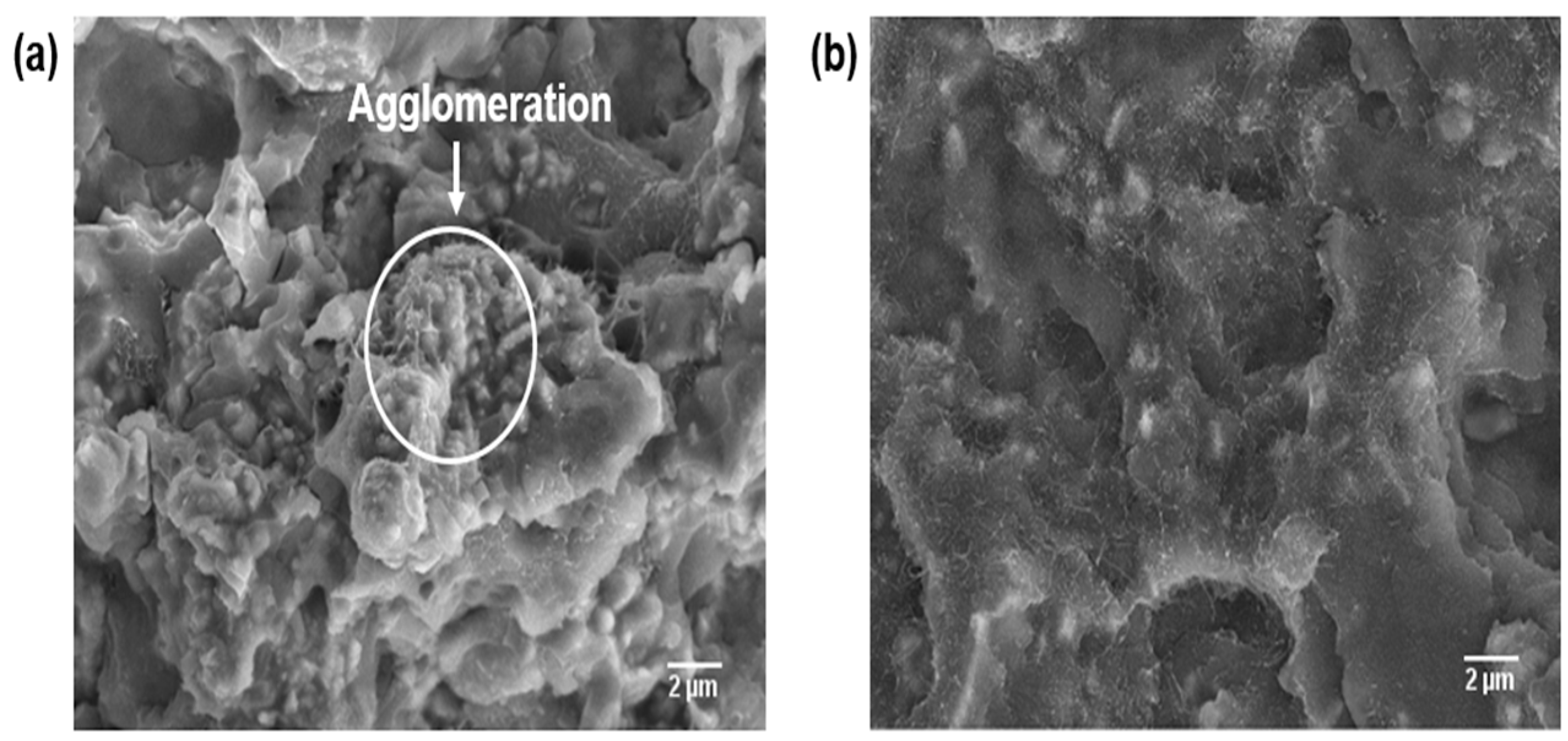 Polymers 09 00452 g010
