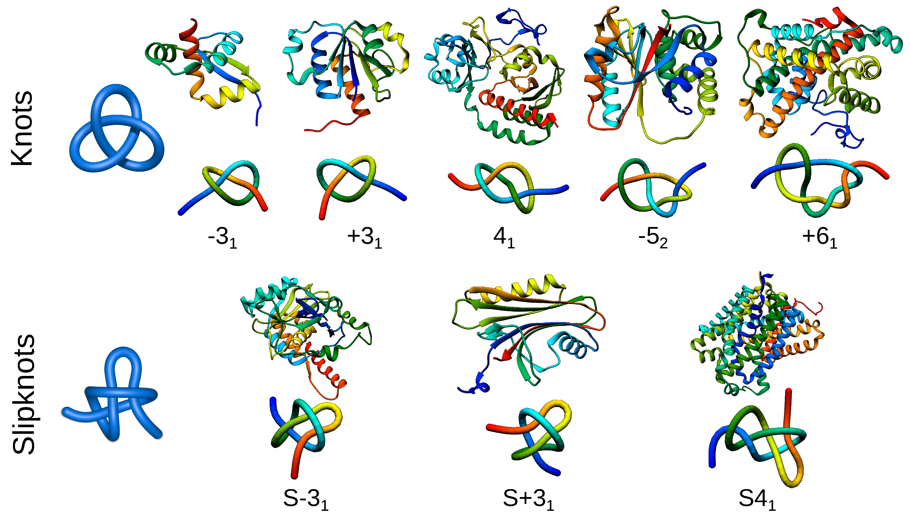 Polymers 09 00454 g002 Polymers 09 00454 g002