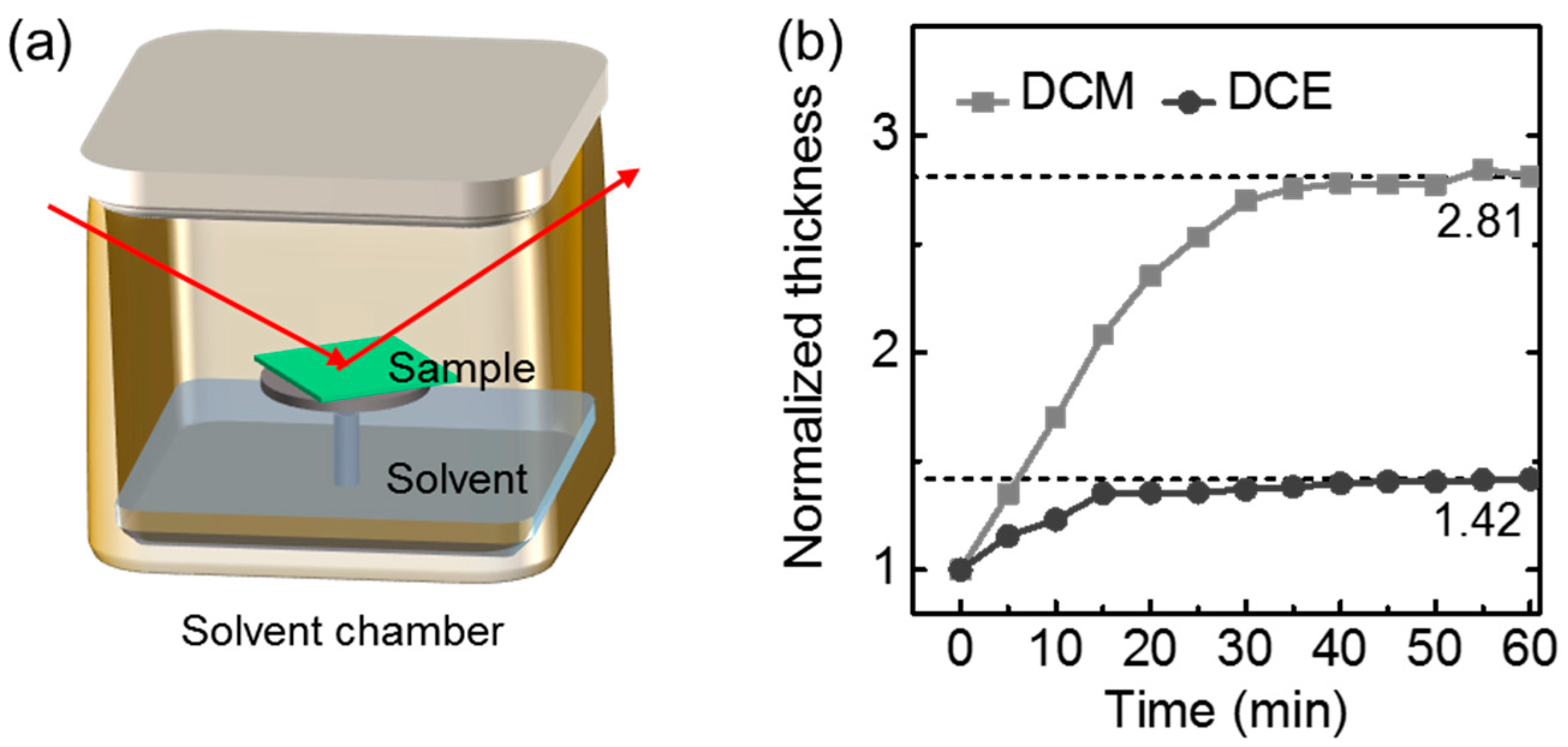 Polymers 09 00456 g002