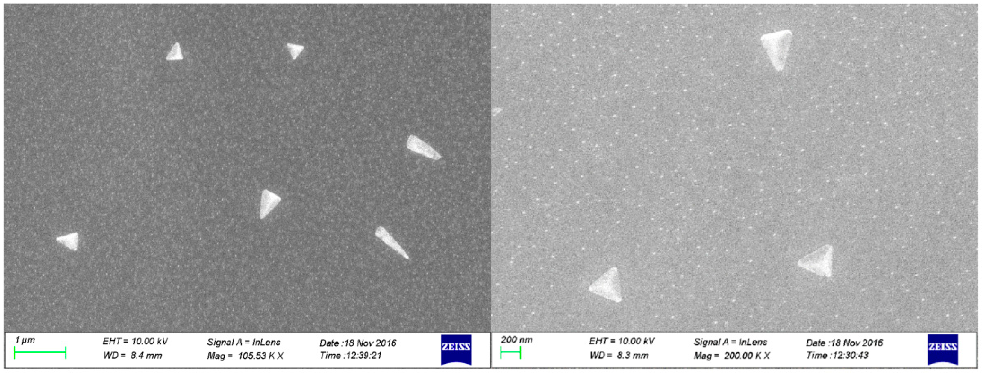 Polymers 09 00468 g004 550