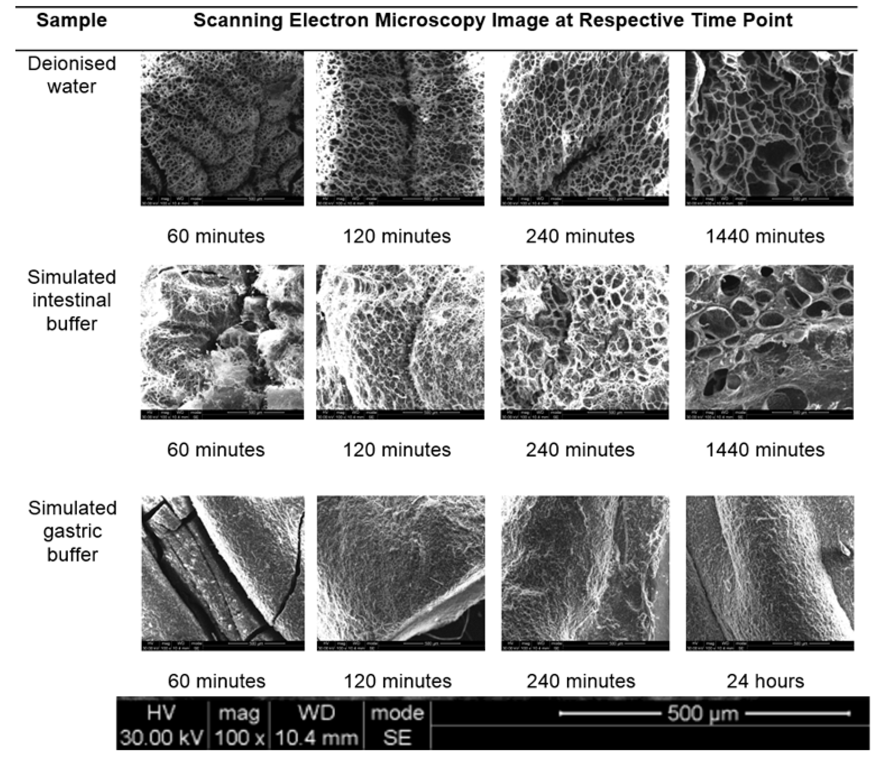 Polymers 09 00474 g007 550