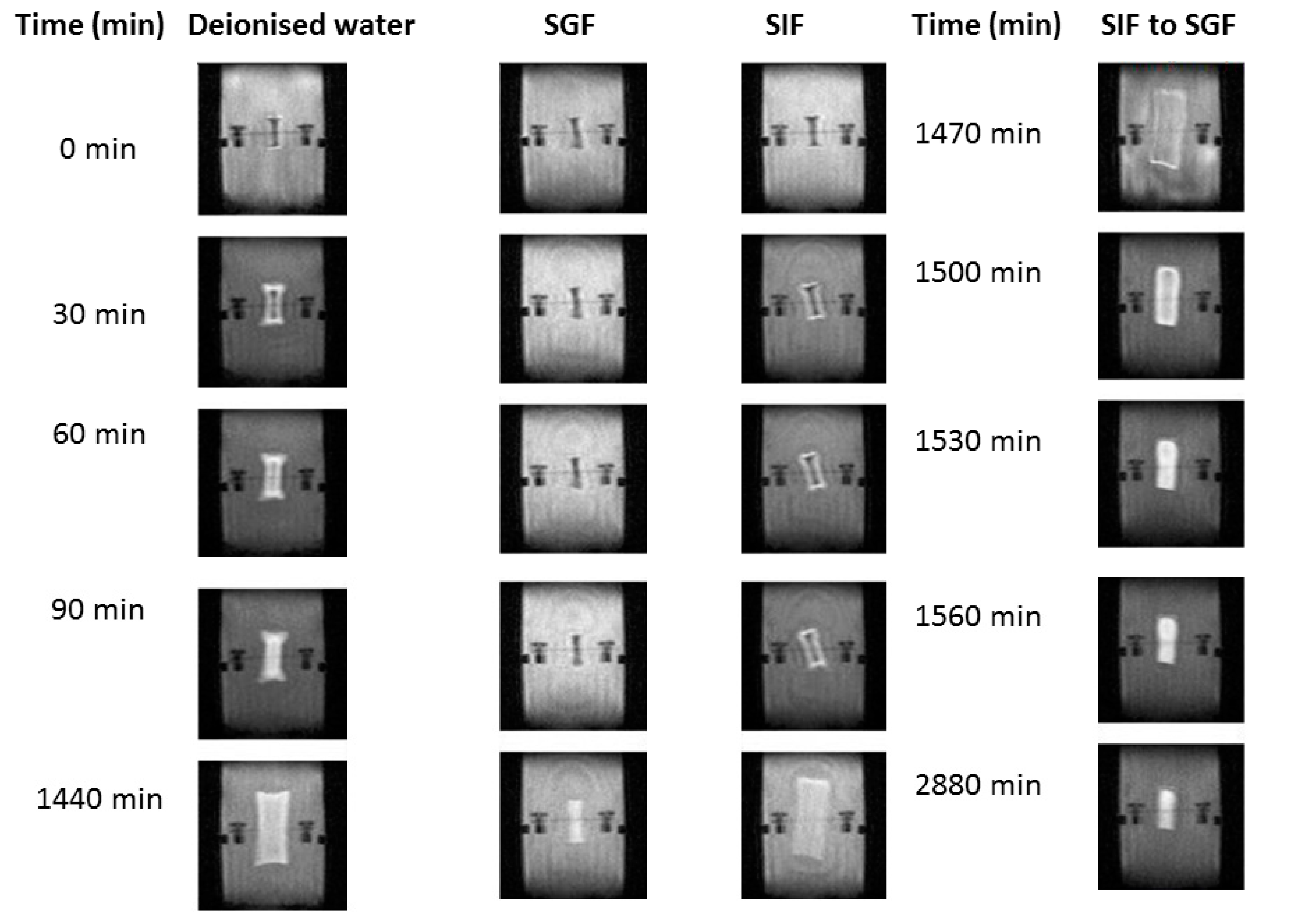 Polymers 09 00474 g008 550