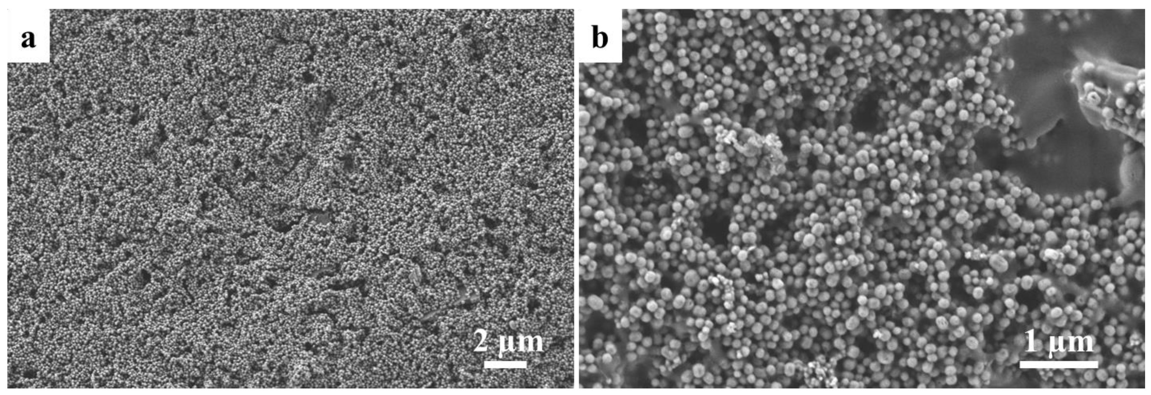 Polymers 09 00487 g001