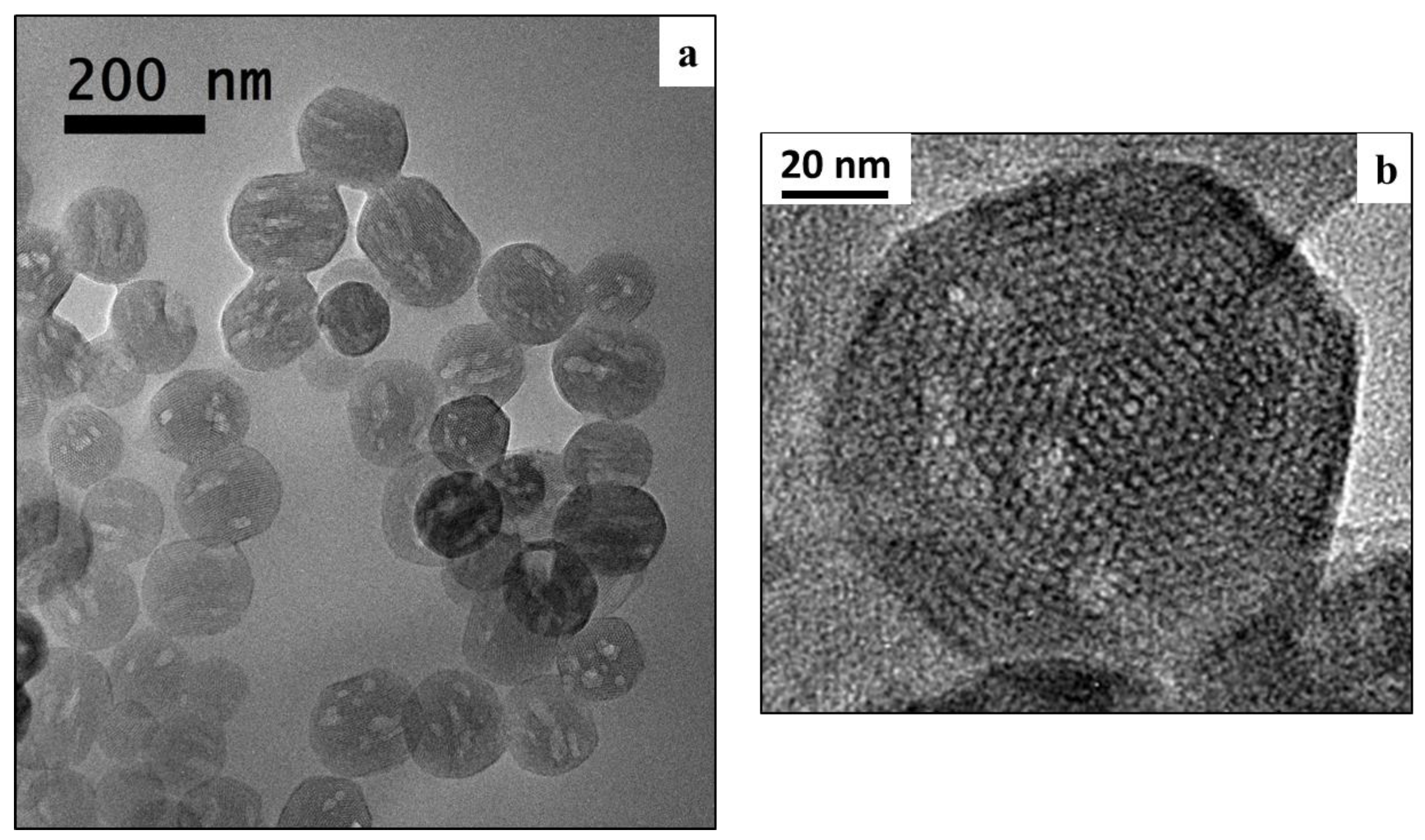 Polymers 09 00487 g002