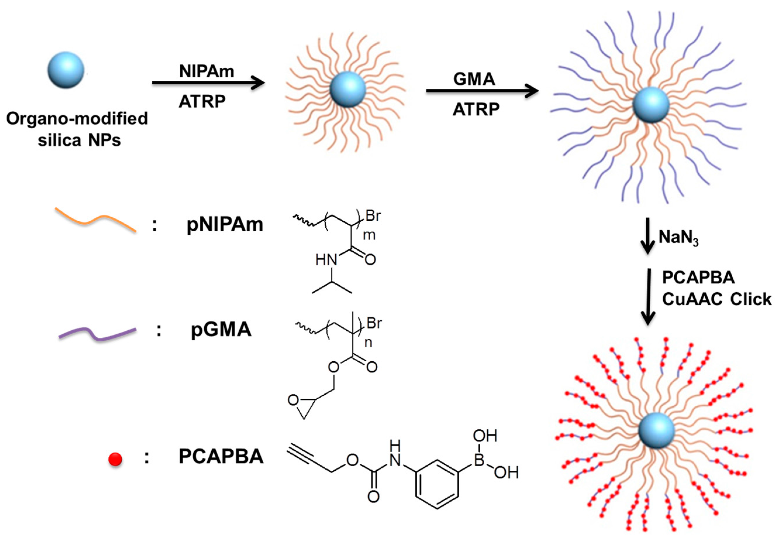 Polymers 09 00499 g003 Polymers 09 00499 g003